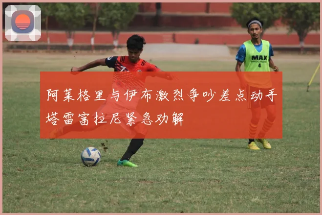 阿莱格里与伊布激烈争吵差点动手塔雷富拉尼紧急劝解